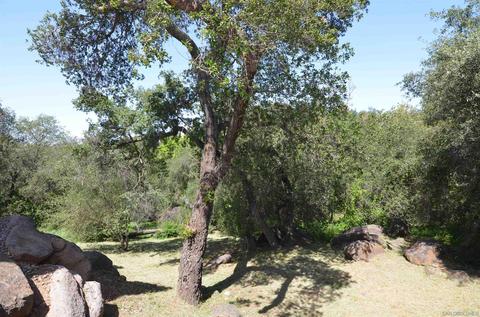1615 Chocolate Bell Trl, Alpine, CA 91901 photo 48