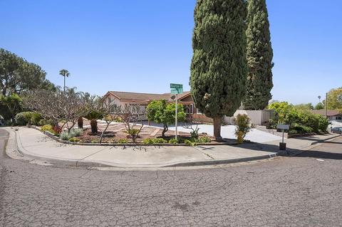 10121 Rayline Way, Spring Valley, CA 91977 photo 25