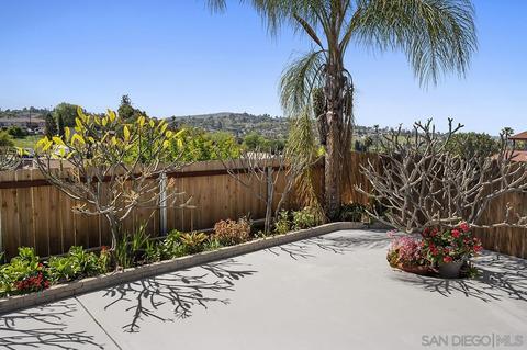 10121 Rayline Way, Spring Valley, CA 91977 photo 19
