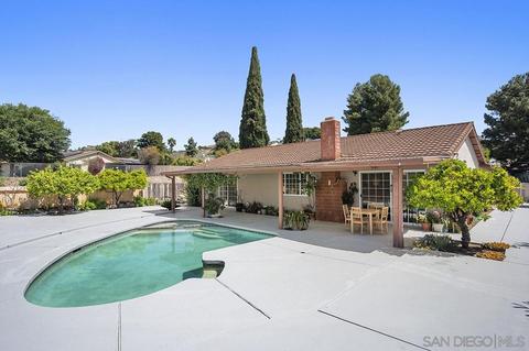 10121 Rayline Way, Spring Valley, CA 91977 photo 17