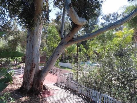 5780 Severin Dr, La Mesa, CA 91942 photo 19