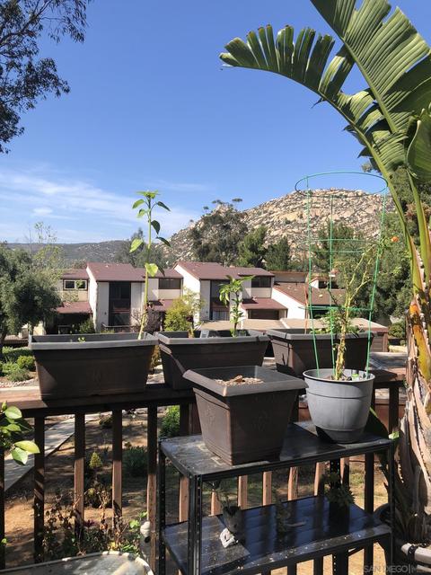 15701 Davis Cup Ln, Ramona, CA 92065 photo 24