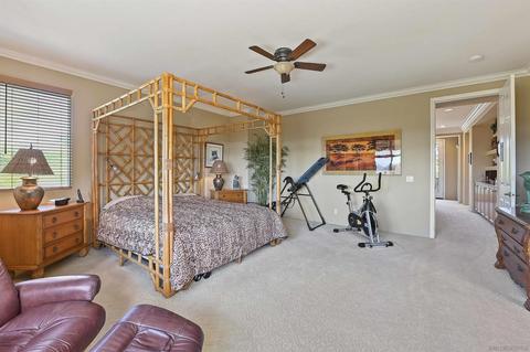 2914 Austin Ter, Carlsbad, CA 92008 photo 14