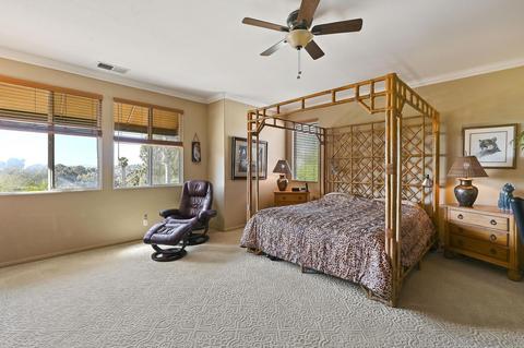 2914 Austin Ter, Carlsbad, CA 92008 photo 15