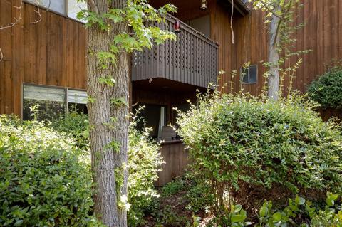 2157 Arnold Way #413, Alpine, CA 91901 photo 19