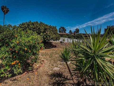 8029 Wonder Ln, El Cajon, CA 92021 photo 33