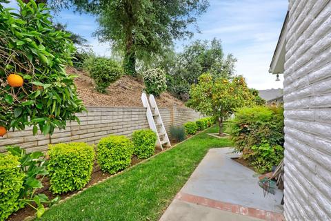 3515 Oak Cliff Dr, Fallbrook, CA 92028 photo 34