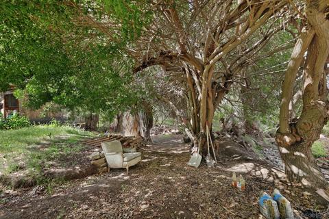 9060 Winter Gardens Blvd, Lakeside, CA 92040 photo 31