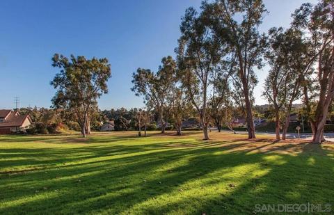 1660 Linda Sue Ln, Encinitas, CA 92024 photo 36