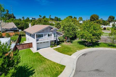 1660 Linda Sue Ln, Encinitas, CA 92024 photo 29