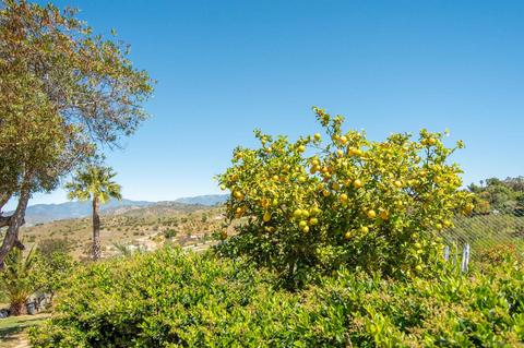 6343 W Lilac Rd, Bonsall, CA 92003 photo 47