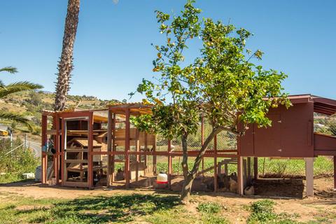 6343 W Lilac Rd, Bonsall, CA 92003 photo 43
