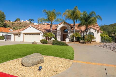 8983 Summerhill Pt, Alpine, CA 91901 photo 3