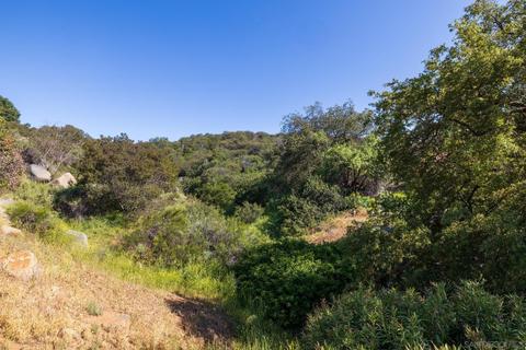 8983 Summerhill Pt, Alpine, CA 91901 photo 58