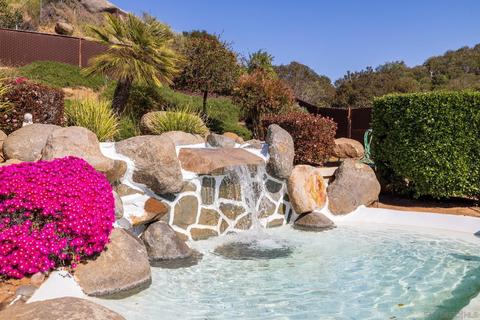 8983 Summerhill Pt, Alpine, CA 91901 photo 53