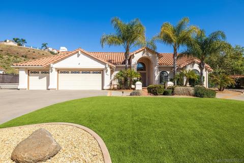 8983 Summerhill Pt, Alpine, CA 91901 photo 1