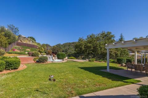 8983 Summerhill Pt, Alpine, CA 91901 photo 48