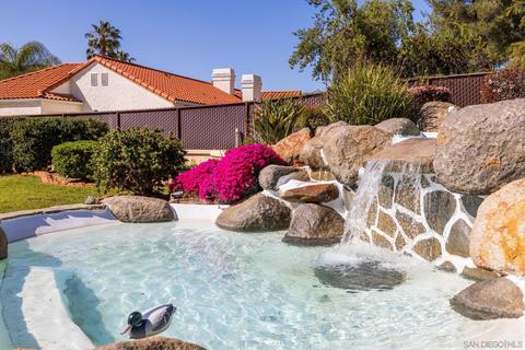 8983 Summerhill Pt, Alpine, CA 91901 photo 54