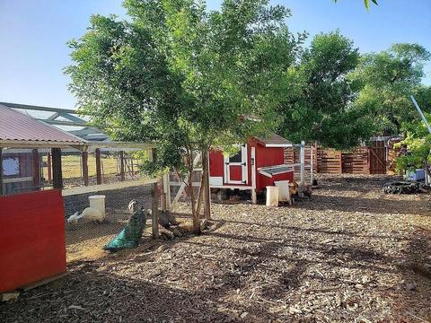421 Askew Way, Ramona, CA 92065 photo 53