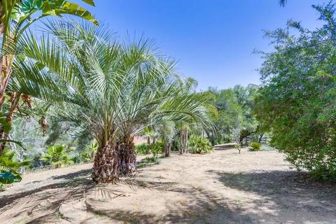 1378 Sycamore Hts, Fallbrook, CA 92028 photo 64