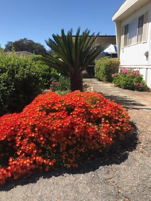 4747 Oak Crest Rd #39, Fallbrook, CA 92028 photo 8