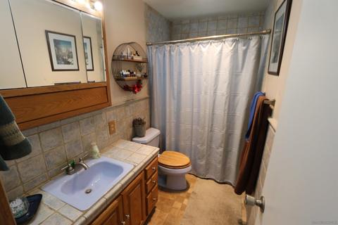 5330 Desert View Dr, Wrightwood, CA 92397 photo 16