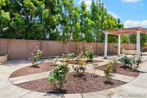 7288 Circulo Papayo, Carlsbad, CA 92009 photo 37