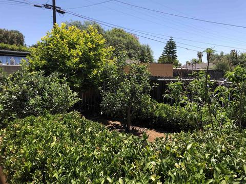 1461 Arlington Pl, El Cajon, CA 92021 photo 35