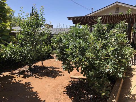 1461 Arlington Pl, El Cajon, CA 92021 photo 36