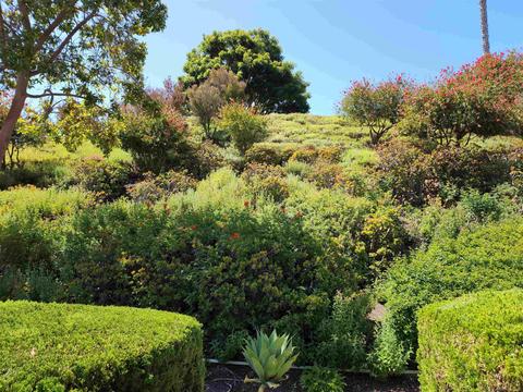 4287 Dowitcher Way, Oceanside, CA 92057 photo 3