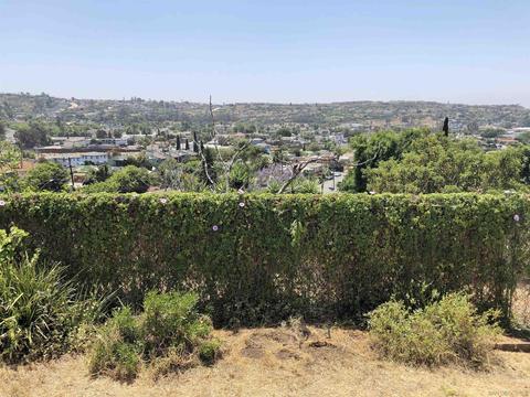 7535 Olive Pl, La Mesa, CA 91942 photo 26