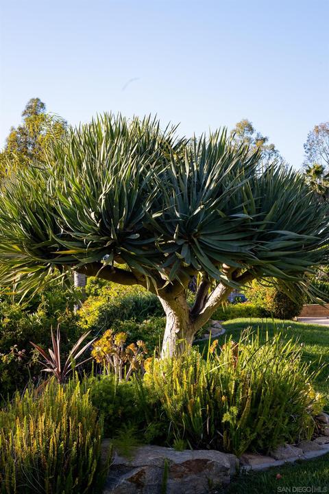 15951 Lime Grove Rd, Poway, CA 92064 photo 35