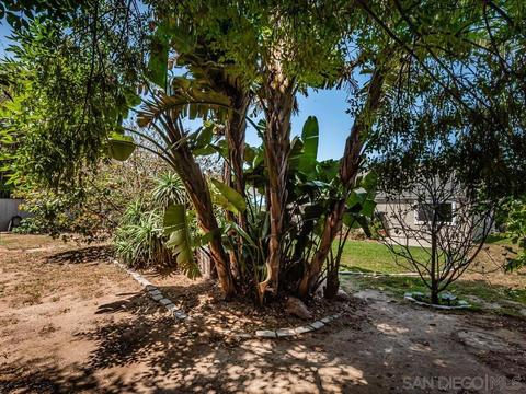 1618 Avocado Rd, Oceanside, CA 92054 photo 33