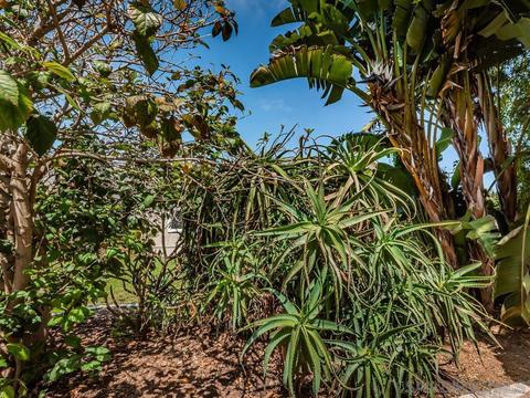 1618 Avocado Rd, Oceanside, CA 92054 photo 34