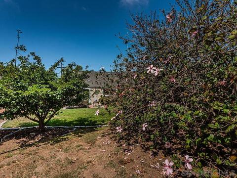 1618 Avocado Rd, Oceanside, CA 92054 photo 32