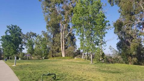 2186 Darby St, Escondido, CA 92025 photo 18