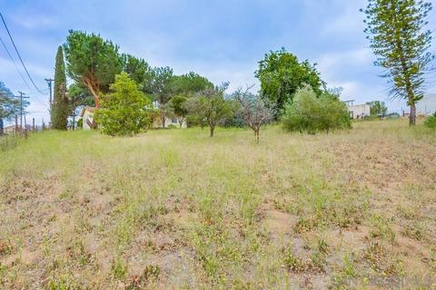 645 W Alvarado St, Fallbrook, CA 92028 photo 38