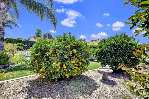 17622 Tam O Shanter, Poway, CA 92064 photo 51