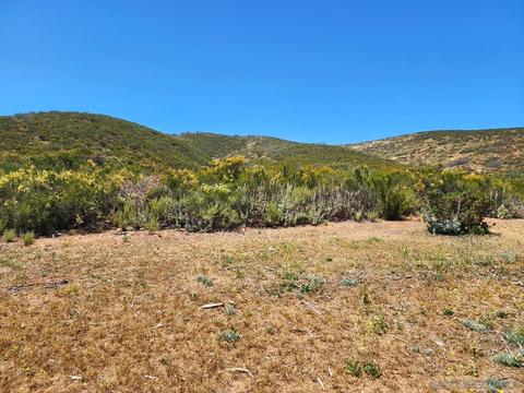 16244 Oak Springs Dr, Ramona, CA 92065 photo 57