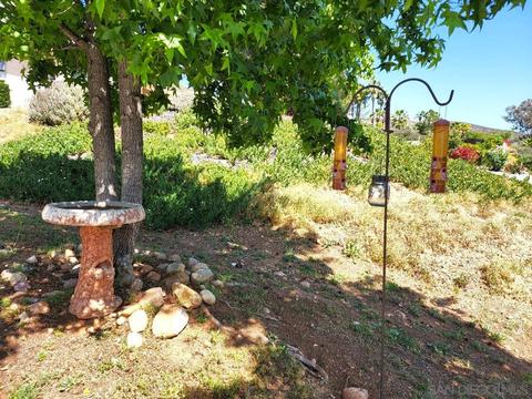16244 Oak Springs Dr, Ramona, CA 92065 photo 4