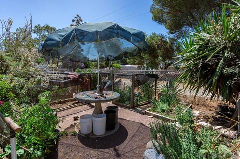10655 Palm Row Dr, Lakeside, CA 92040 photo 33