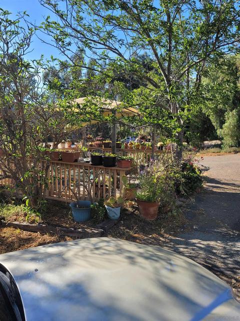 3263 Rocky Sage Rd, Jamul, CA 91935 photo 23