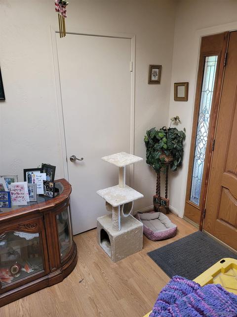 3263 Rocky Sage Rd, Jamul, CA 91935 photo 12