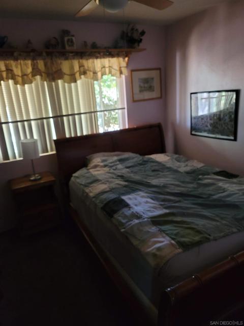 3263 Rocky Sage Rd, Jamul, CA 91935 photo 10