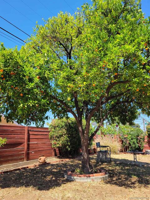 228 Pallette, El Cajon, CA 92020 photo 23