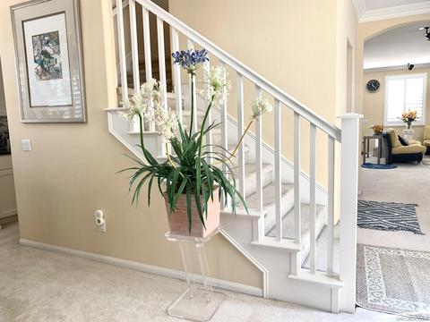 2460 Douglaston Gln, Escondido, CA 92026 photo 5