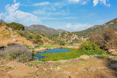 17305 Lyons Creek Rd, Jamul, CA 91935 photo 46