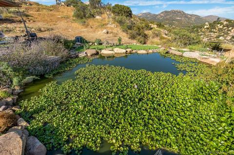 17305 Lyons Creek Rd, Jamul, CA 91935 photo 47