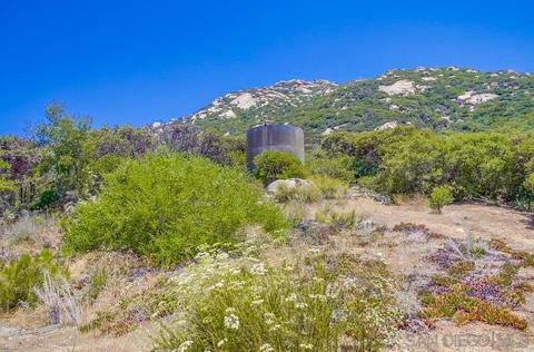 2534 Forest Park Rd, Jamul, CA 91935 photo 26