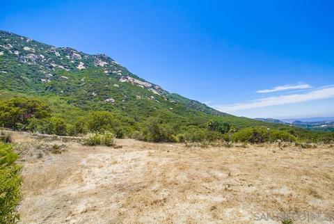 2534 Forest Park Rd, Jamul, CA 91935 photo 29